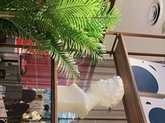 -必胜客(远大路店)