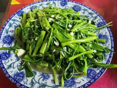 -生态苑农庄(十里画廊遇龙河店)