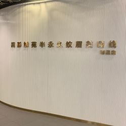 -禹彤绣苑·机器野生眉纹眉