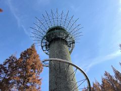 -黄海国家森林公园