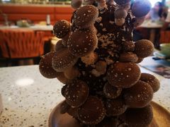 鲜活菌菇棒-椰子营·椰子鸡火锅(万象里店)