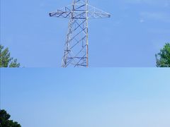 -合肥滨湖国家森林公园