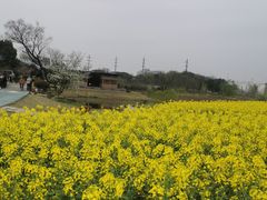 -径山花海