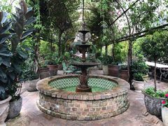 -The Grounds of Alexandria