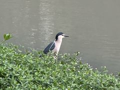 -沙河三洞古桥公园