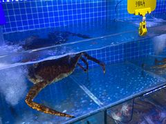 -前王院•巧克力海鲜市集餐厅(万平口店)