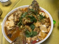-煲来饱去冷水鱼