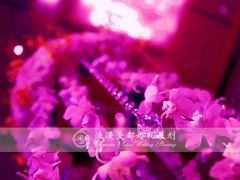 大堂-上海安亭别墅花园酒店