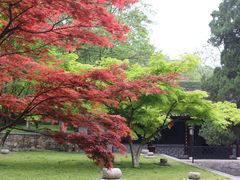 -镇江市南山风景名胜区竹林景区
