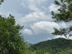 -广州白江湖森林公园