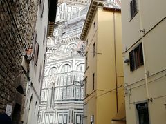 -圣母百花大教堂穹顶