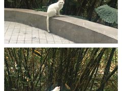 -广州市白云山风景名胜区