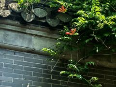 -口岸雕花楼