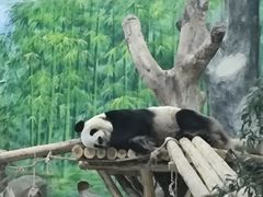-灵玲国际马戏城