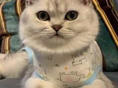 -萌兽医馆·犬猫专科·眼科中心·宠物医院(朝阳门分院)