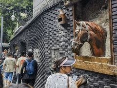 -院8里·少城记忆老川菜(宽窄巷子店)