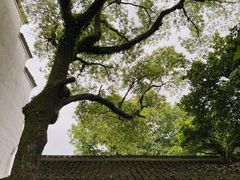 -天一阁博物院