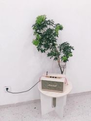点击看大图 -苗方清颜·祛痘皮肤管理