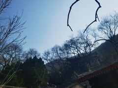 -华清宫景区