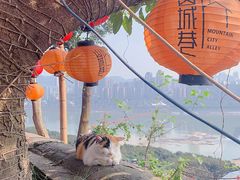 -山城巷传统风貌区