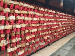 -峨眉山报国寺