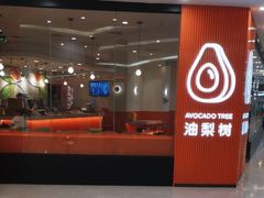 -油梨树 AVOCADO TREE(亮马桥店)
