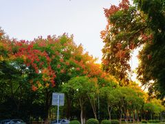 -长广溪湿地公园
