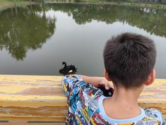 -东郊湿地公园
