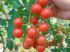 -会稽山峡洞漂流-上青古道