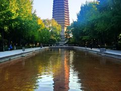 -玲珑塔公园