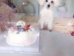 -红宝石·鲜奶小方·海派西点房(金杨店)