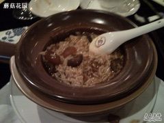 海参鱼唇捞饭-西郊5号·Maggie 5