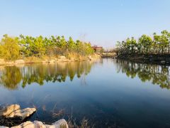 -春花秋色城市公园