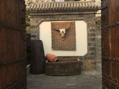 -慢丽江·云南野生菌土鸡锅(付家庄店)