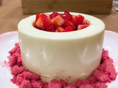 -柴务处·柴犬主题狗咖