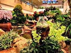 -吉隆坡国际机场