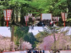 -醍醐寺