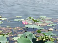 -尚贤河湿地
