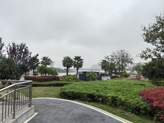 -九龙湖公园
