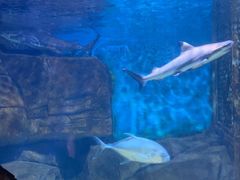 -横店影视城梦幻谷园区