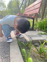 -将府公园儿童游乐场