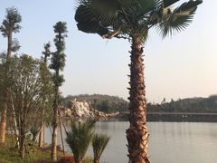 -枫香湖儿童公园