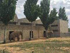 -石家庄市动物园