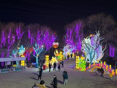 -淄博花灯齐彩城
