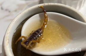 Black Chicken and Scorpion Soup