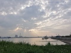 -海鸥岛