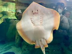 -珠海长隆海洋王国