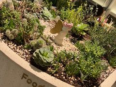 -春树下·树屋花房西餐厅(罍街AS1980店)