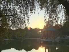 -金砂公园