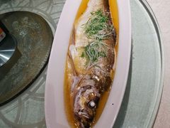 鸡汁蒸太湖白鱼-金枝玉叶上海人家食府(三里河店)